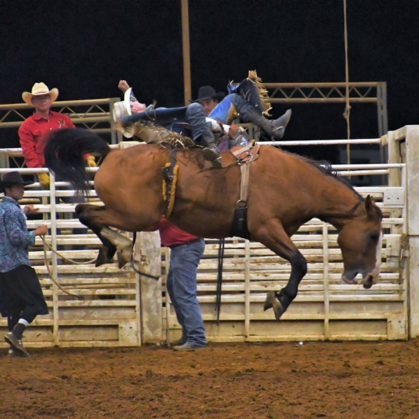 September 914, 2024 Searcy, AR White County Fair